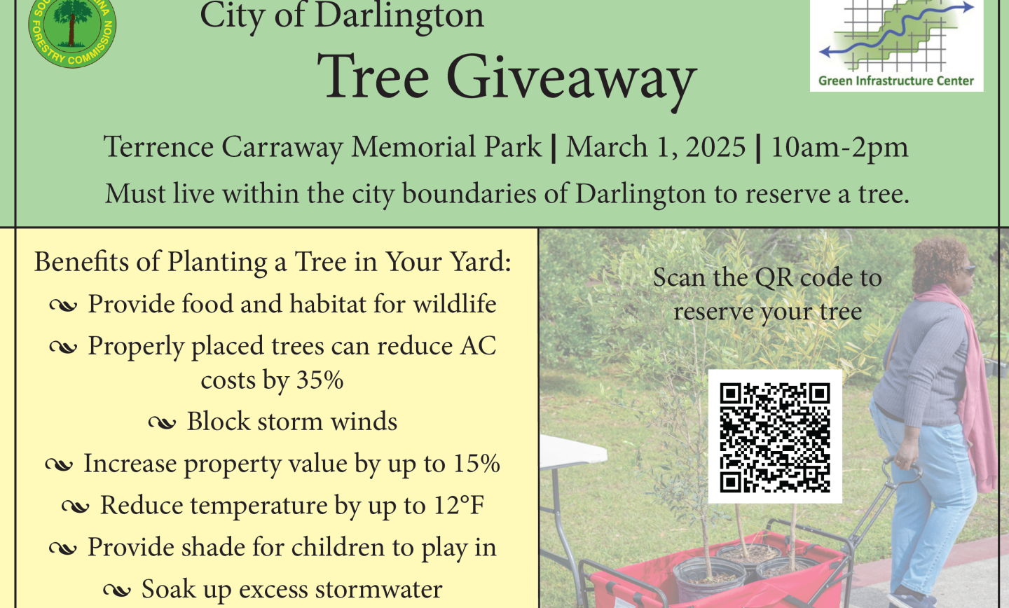 Tree Giveaway, March 1, 2025