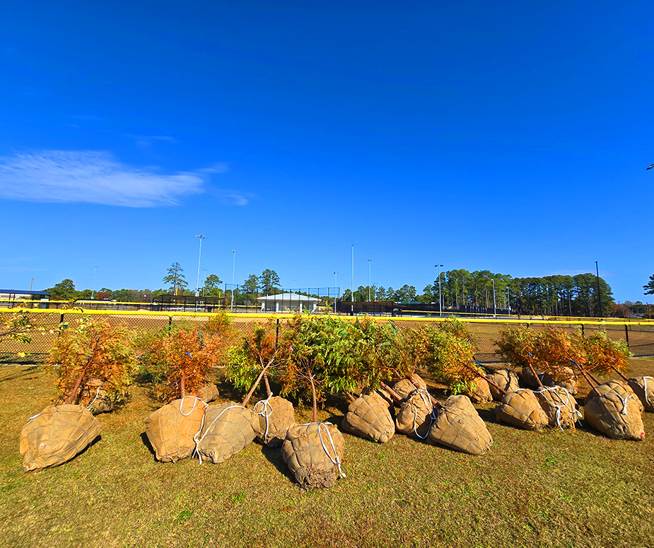 Agenda for Dec. 9, 2025, Arbor Day Remembrance